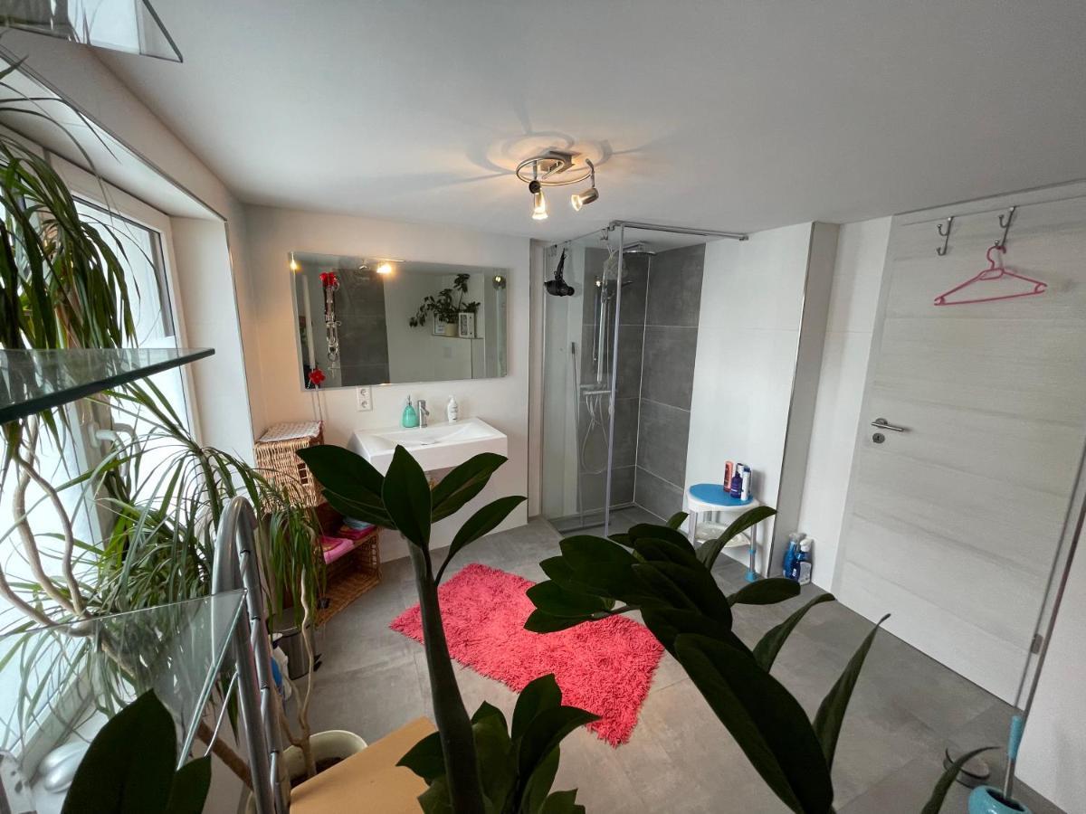 Willingenvakanties,Modern Quality Apartments Restyled Nov 2022 Willingen 2023 외부 사진